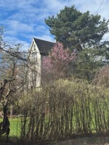 tomtefeste hus i Norge